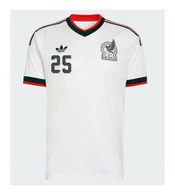 Mexico Roberto Alvarado #25 Udebanetrøje VM 2026 Kortærmet